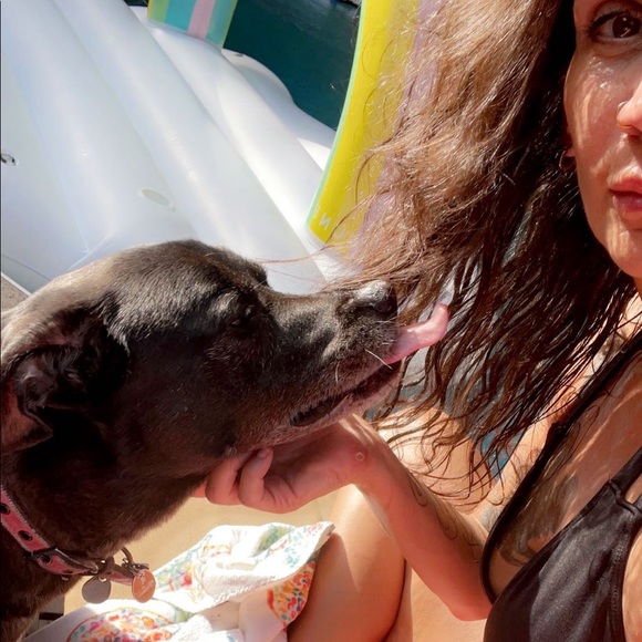 Meet your Posher, Holly - Picture 1 of 3